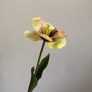 Single Petal <strong>Tulip</strong> Simulation Wedding Flower Artificial Silk Fabric Home Dining <strong>Table</strong> Decoration Flower - Product Image 5