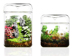 Terrarium en verre borosilicate géométrique élégant, fait main, écologique, style Japandi, <span class=keywords><strong>vase</strong></span> de table avec couvercle amovible - Product Image 5