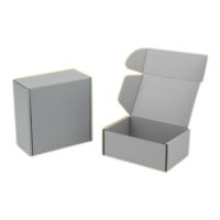 Fabriqué en Chine Boîte d'avion de couleur ondulée écologique de haute qualité Boîte en carton ondulé d'impression couleur personnalisée