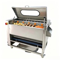Petit éplucheur à rouleaux pour pommes de terre, carottes, gingembre, noix, manioc – Équipement de lavage et de traitement