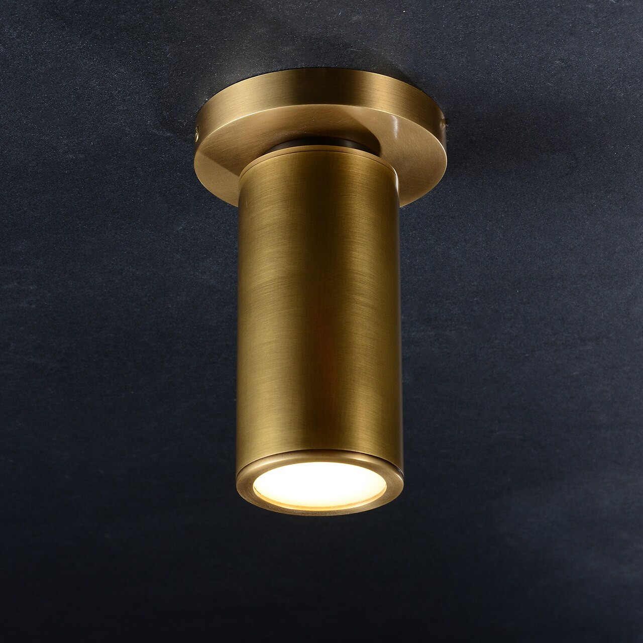 Modern Brass Cylinder Ceiling Spotlight Fixed Angle Flush Mount Light for Living Room Hallway Hotel