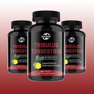 ยาแคปซูลสารสกัดจาก Tribulus Terrestris อาหารเสริมสมุนไพร OEM ODM - Product Image 2