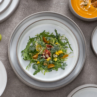 Duurzaam handbeschilderd modern servies van keramiek steengoed voor hotel, restaurant, buffet, westerse desserts, salades, fruit en feesten.