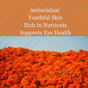 Cápsulas de Luteína, Antioxidante, Apoyo para la Salud Ocular, Piel Joven, Rico en Nutrientes, Energía Diaria, Vegano, Sin OMG, Sin Gluten, OEM, ODM - Product Image 3