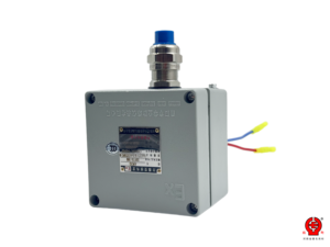 Boîtier de jonction renforcé pour zones dangereuses Ex Eb IIC T4 Gb, en aluminium moulé AWZG ADC12, 550V 15A IP66, <span class=keywords><strong>Zone</strong></span> 1, <span class=keywords><strong>Zone</strong></span> 2 - Product Image 4