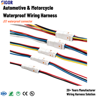 Custom Automotive Motorcycle Wiring Harness Assembly 2 3 4 6Pin JST JWPF Waterproof PVC/PBT Connector Cable 0.3mm IP66