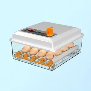 Incubadora de ovos doméstica pequena, incubadora automática de ovos de aves com controle inteligente mais vendida