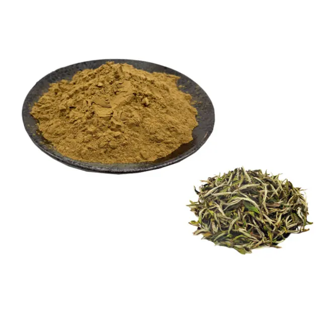 Werkseitige Lieferung Camellia Sinensis Extrakt Weißer Tee Extrakt 10:1 Weißer Tee Extrakt Pulver