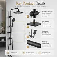 Système de douche complet moderne en acier inoxydable noir mat avec douchette pluie et douchette à main en laiton massif pour hôtels et villas