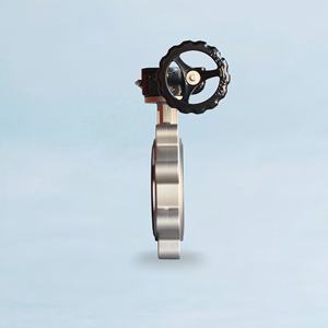 JRVAL D71-PL Usine de fonderie interne, poignée de vanne papillon à engrenage manuel avec revêtement en VITON EPDM pour les équipements de plomberie - Product Image 3