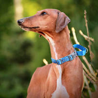 Neues Nylon halsband Verstellbares Gurtband Pet Dog P Rope Reflektieren des Hunde halsband für kleine mittlere und große Hunde Akzeptieren Sie das benutzer definierte Logo
