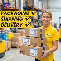 Services logistiques Fret maritime LCL Chine vers Royaume-Uni, France, Pays-Bas, Belgique, Grèce, Bulgarie, Slovaquie, Croatie DDP Service complet