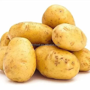 Pommes de terre fraîches biologiques Dégustation sucrée Nouveau <span class=keywords><strong>Corps</strong></span> Produit originaire d'exportation - Product Image 6