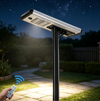 Sistem Lampu Jalan Tenaga Surya LED DC 12V 40W Efisiensi Tinggi Harga Terjangkau Tahan Air untuk Luar Ruangan dengan Tiang Aluminium Berperingkat IP66 untuk Penggunaan di Jalan