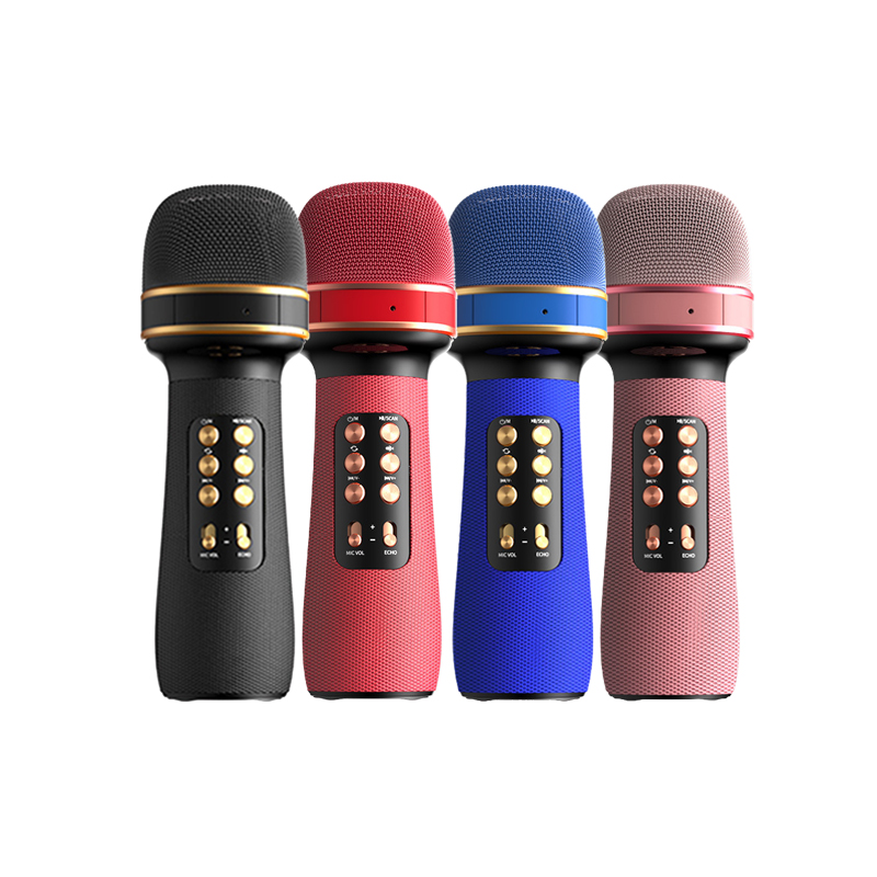 マイク DPA 4018VL ボーカルマイク 超単一指向性 コンデンサーマイク