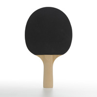 Ensemble de tennis de table professionnel haut de gamme DECOQ HT-10, écologique, durable, portable, raquettes 4 étoiles, balles en bois de caoutchouc 3 étoiles, club