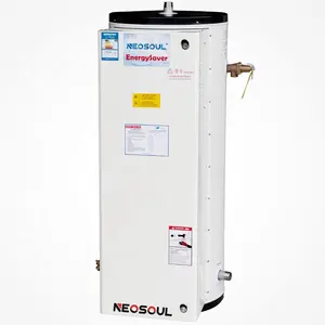 Inexpensive Multi-function 150L Electric Storage Water Heater For Sale