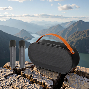 Loa di động ngoài trời 10 inch, hệ thống âm thanh DJ, Karabox, không dây Bluetooth 30W, đèn RGB, chống nước IPX7, nhỏ gọn, dùng cho tiệc tùng - Product Image 1