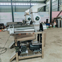 Hoge productiviteit blauwe bessen en kurkuma fruitverwerkingsinstallatie sapcentrifuge 304 roestvrij staal uienschroefpers