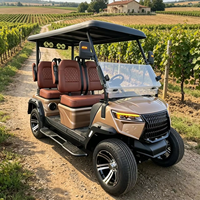 Voiturette de golf électrique à faible bruit pour clubs et villages de vacances, utilisation hors route, homologuée DOT CE EEC