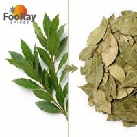 Prêt à expédier : Feuilles de Laurier Naturelles Séchées 15g en Sachet Refermable avec Fenêtre – Livraison Rapide, Faible MOQ, Fournisseur Dropshipping