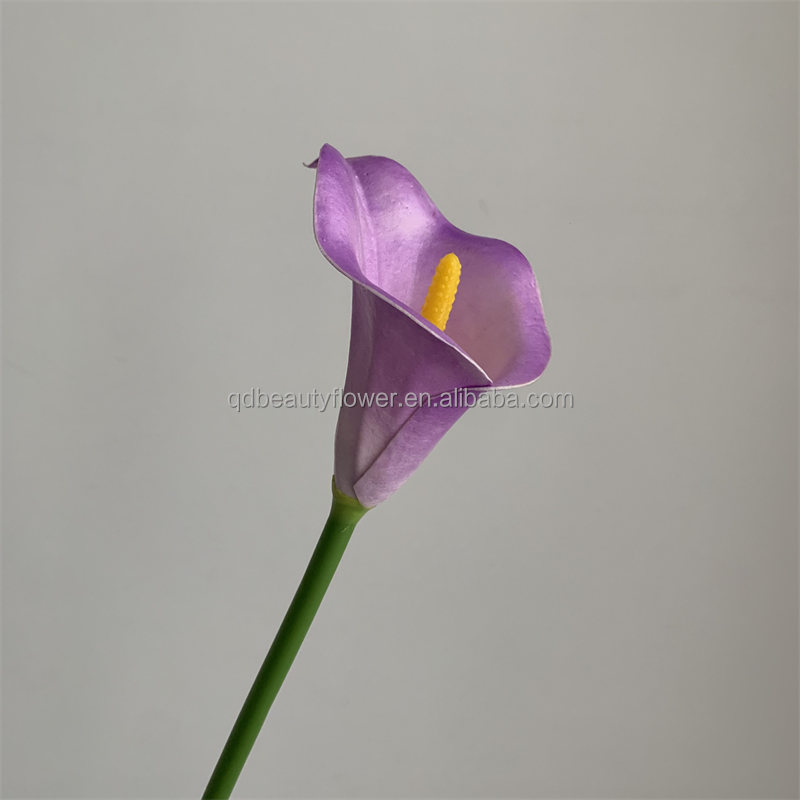 Pourpre
