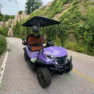 Carrito de Golf en Venta, 4 Plazas, Buggy de Acero para Pasajeros, Mini Carro de Golf Eléctrico con Certificación Dot CE GCC EEC para Carreteras No Públicas - Product Image 6