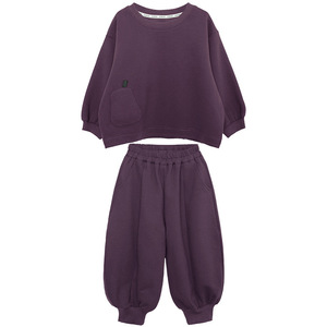 Completo Autunnale per Ragazzi, Nuova Stagione, Stile Coreano, Felpa e Pantaloni in Misto Cotone, Set Due Pezzi per Bambini - Product Image 5