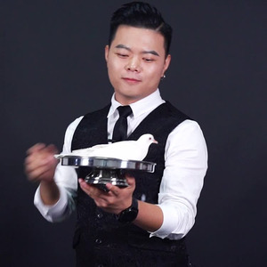 Truco <span class=keywords><strong>de</strong></span> Magia Profesional para Escenario, Paloma o Flor que Salen <span class=keywords><strong>de</strong></span> un Pan, Accesorio <span class=keywords><strong>de</strong></span> Magia <span class=keywords><strong>de</strong></span> Acero Inoxidable <span class=keywords><strong>de</strong></span> Doble Capa, Aparición <span class=keywords><strong>de</strong></span> Paloma, Accesorios <span class=keywords><strong>de</strong></span> Magia <span class=keywords><strong>de</strong></span> Fuego - Product Image 5