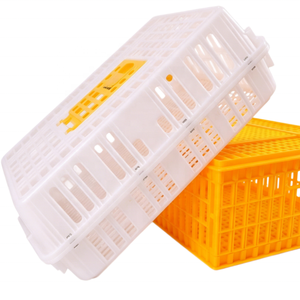 Cage de transport pour volailles en promotion – Caisses de transport pour poulets, canards et oies – Cages pliables en plastique pour le déménagement - Product Image 3
