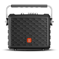 Mini haut-parleur portable avec radio FM, rechargeable par USB, boombox sans fil