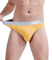Slips sexy pour hommes, sous-vêtements moulants en coton bio modal