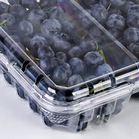 Conteneur à fruits en PET/rPET écologique à 2 compartiments, boîte d'emballage transparente en plastique pour tomates, cerises, bleuets