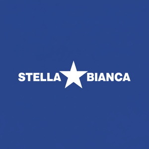 Stella bianca HSS Cup Cutter con scarico laterale. 36 036 t010 per macchine per la lavorazione del legno stella bianca - Product Image 1