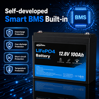 Batterie LiFePO4 Panailo 12,8V 100Ah 1280Wh avec BMS intelligent intégré, 4000 cycles, cellules de qualité A, batterie au plomb-acide, fourniture d'usine