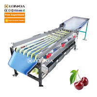 LONKIA Trieuse automatique de fruits et légumes de la taille des pommes de terre au citron pour classer les oignons et les fruits
