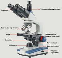 Microscope numérique biologique IKEME Lab School, microscope électronique dentaire USB, microscope stéréoscopique trinoculaire, microscope binoculaire Olympus