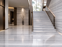 Dalles de marbre blanc Marmara avec des veines linéaires pour comptoirs de cuisine, murs de douche, marches d'escalier, revêtements de sol et carreaux découpés sur mesure