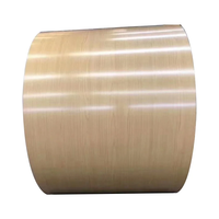 Bobine d'acier de découpe et de soudage BIS, grade CGCC, tôle de toiture ondulée PPGI/PPGL, revêtement couleur personnalisé pour la pliage