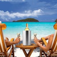 Bacs à boissons modernes en métal Grand seau à glace à double paroi en acier inoxydable pour la fête, la vodka, le champagne, la bière et le vin
