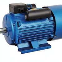 Moteurs AC de remplacement pour WEG/Siemens dans les lignes d'emballage, 220V monophasé, 0,55-4KW, 2/4 pôles, enroulement en fil de cuivre, garantie 1 an