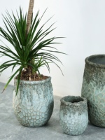 Pot de fleurs en ciment rétro style ferme avec design créatif de grand diamètre pour salon et balcon intérieurs