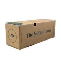 Boîte d'expédition pour plantes en pot, en carton ondulé kraft robuste, taille personnalisée, protection, pliable, durable