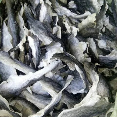 말린 PANGASIUS 물고기 피부 고품질 간식 만들기, 저렴한 가격 베트남-대량 수량