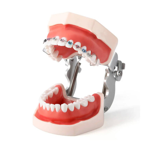 Moda rimovibile bretelle dentali gioielli in acciaio inox decorazione per adulti ragazzi asiatico sorriso accessori - Product Image 5