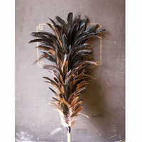 Plumeau de poulet de couleur naturelle réutilisable et écologique bon marché pour le nettoyage de la maison, de la voiture et du bureau.