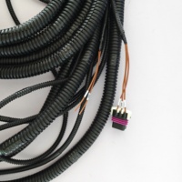 Harnais de câblage étanche personnalisé OEM ODM, pour machines de construction, motos, tout-terrain et assemblages de câbles pour vélos électriques