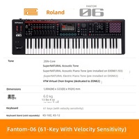 Roland Fantom 06 Portable Piano 61 Key Synthesizer Keyboard Intuitive Compact Focus Field Workstation