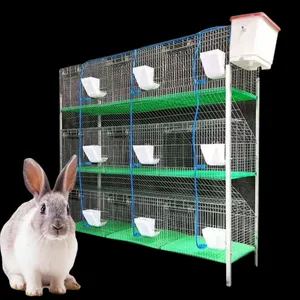 Cages à lapins galvanisées Cages d'élevage de lapins commerciales bon marché 10 50 Cages à lapins durables fournies à vendre 2023 Meilleure vente