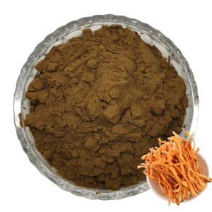 Bubuk ekstrak Cordyceps Militaris Beta Glucan kualitas tinggi pabrikan Cordyceps - Product Image 1